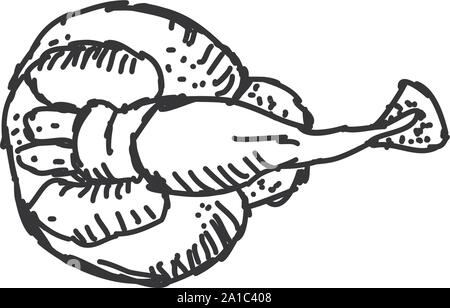 Stringray, illustration, vector on white background. Stock Vector
