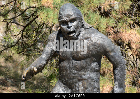 A metal statue of a Sasquatch, or Bigfoot, walking by the side of the Crowsnest Highway, near Osoyoos, British Columbia, Canada. Stock Photo