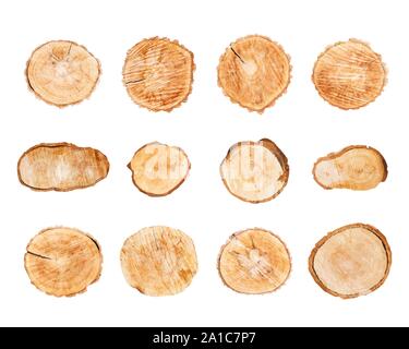 Wood logs set isolated on white background vector Stock Vector