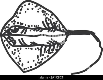 Stringray fish, illustration, vector on white background. Stock Vector