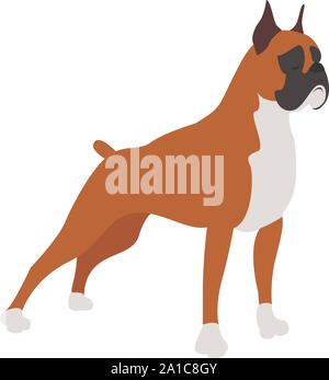 Boxer dog, illustration, vector on white background. Stock Vector
