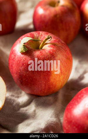 Raw Red Organic Gala Apples Stock Photo by bhofack2
