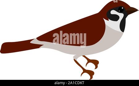 Little sparrow, illustration, vector on white background. Stock Vector