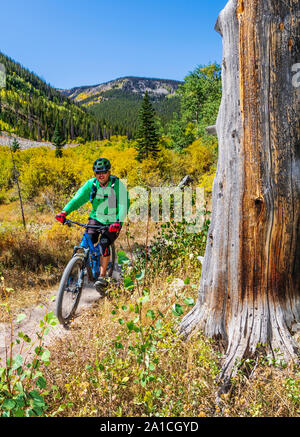 Mountain bikers descend Silver Creek Trail from the Monarch Crest Trail, along the Continental Divide in Colorado, riding in a fund raiser for the All Stock Photo