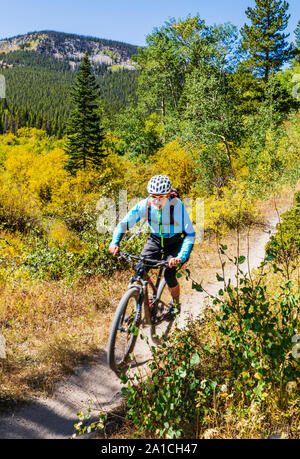 Mountain bikers descend Silver Creek Trail from the Monarch Crest Trail, along the Continental Divide in Colorado, riding in a fund raiser for the All Stock Photo