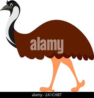 Emu bird, illustration, vector on white background. Stock Vector