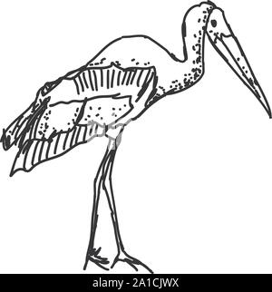 Stork drawing, illustration, vector on white background. Stock Vector
