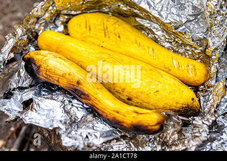 Foil wrapped yellow zucchini squash vegetables on grill in fire pit at campground cooking dinner with charred skin texture Stock Photo