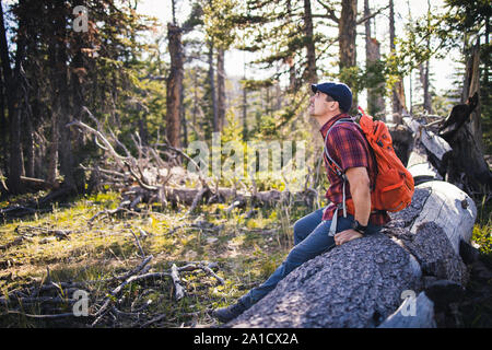 Mid aged caucasian man with a backpack is sitting on the fallen tree trunk by the hiking trail Stock Photo