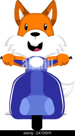 Fox on scooter, illustration, vector on white background. Stock Vector