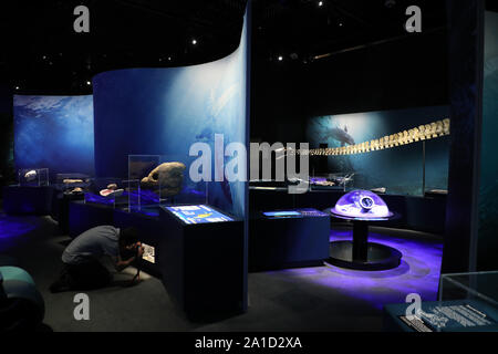 Sydney, Australia. 26th September 2019. Sea Monsters: Prehistoric Ocean Predators opens to the public on Thursday 26 September and brings together never-before-seen real fossils from millions of years ago, gigantic life-sized casts from real specimens, immersive multimedia and hands on interactives. Credit: Richard Milnes/Alamy Credit: Richard Milnes/Alamy Live News Stock Photo