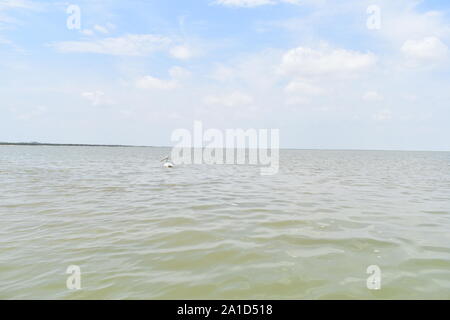 Texture of water in a river, Water waves for nature blue sky background Stock Photo