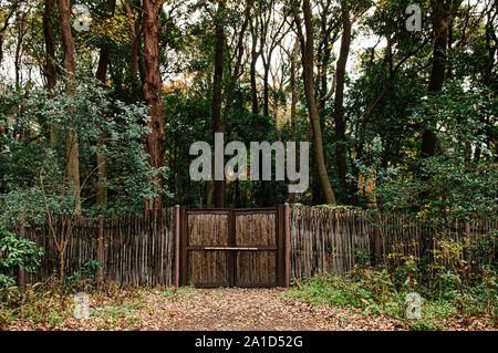 Old wooden bamboo fence with gate in lush green forest under very high trees - Tokyo green space Stock Photo