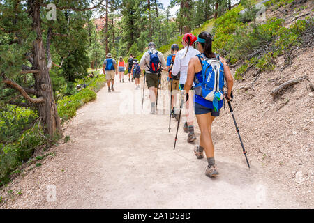 Bryce, USA - August 2, 2019: People walking on Queens Garden Navajo Loop trail at Bryce Canyon National Park in Utah with sticks poles Stock Photo