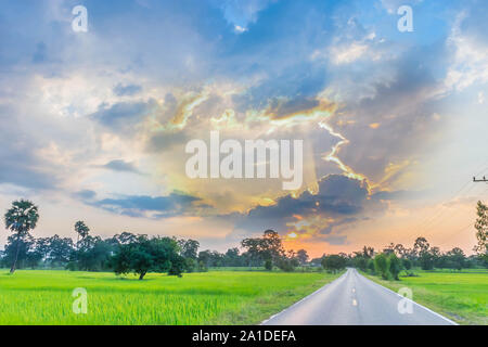 Sunrise with the green paddy rice field, the beautiful sky, and cloud in Thailand, by the beam, light and lens flare effect tone. Stock Photo