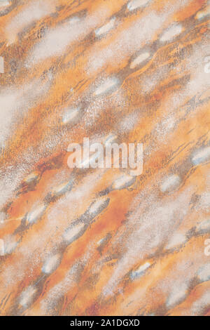 Painted Abstract Animal Skin Textures Stock Photo - Alamy