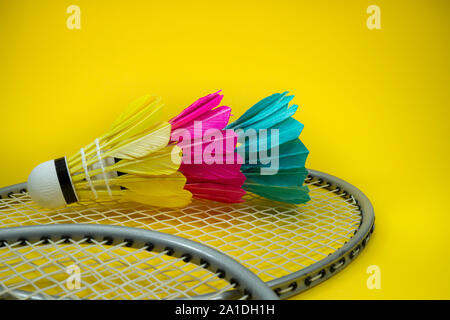 Colorful feathered shuttlecocks in blue, yellow and pink and badminton rackets in a close up view Stock Photo