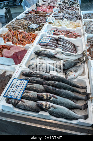 seafood in fish shop Stock Photo