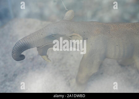 miniature model of a Deinotherium, Dinotherium, birds eye view Stock Photo