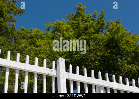 White picket fence with cedar trees in the background. Stock Photo