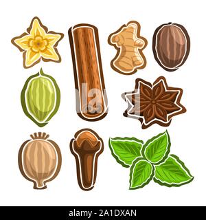 Vector Set icons for culinary Spices: 9 minimal labels of indian condiments isolated on white background, set of cartoon simple stickers for spice pac Stock Vector