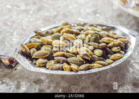 Fresh tasty seafood served on crushed ice, close-up. Stock Photo
