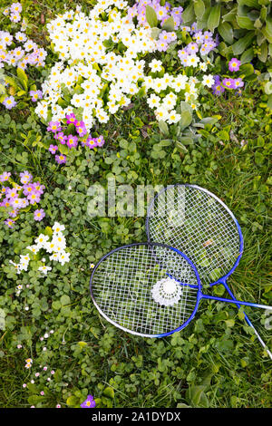 two badminton or shuttlecock rackets on a green meadow Stock Photo