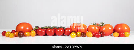 panorama with various tomatoes in front of a white and grey background Stock Photo