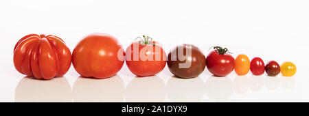 various tomatoes in a row in front of white Stock Photo