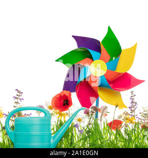 Watering can and windmill toy on colorful wildflower meadow, white background and copyspace Stock Photo