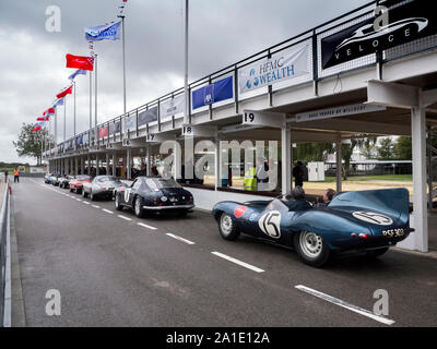 1956 Jaguar D Typt and other classic cars at the Veloce Charity Track day at Goodwood 25/9/19 Stock Photo