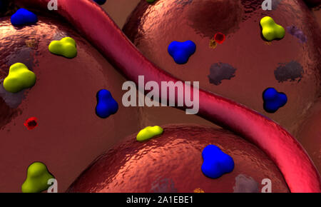 protein on the cell surface, receptors and vein on the cells surface Stock Photo
