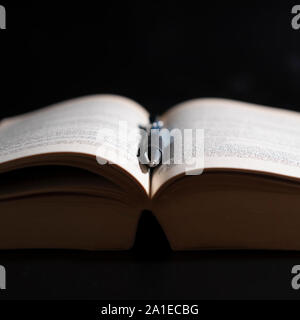 An open book in dim light with a pen on it Stock Photo