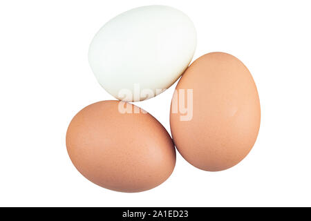 Boiled chicken eggs isolated on white background Stock Photo