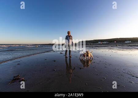 An adult female exercises her West Highland White Terriers on a lead at Port Eynon, Gower, AONB, Swansea, Wales, Gower Peninsula, Stock Photo