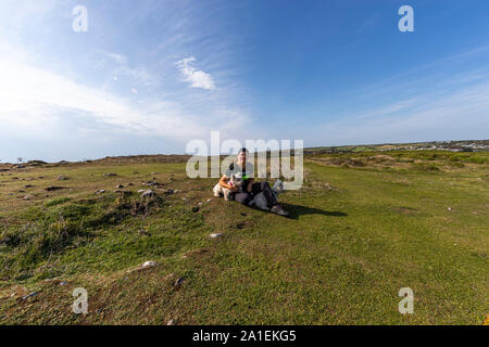 An adult female exercises her West Highland White Terriers on a lead at Port Eynon, Gower, AONB, Swansea, Wales, Gower Peninsula, Stock Photo