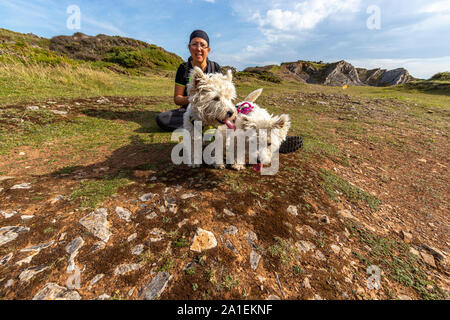 An adult female exercises her West Highland White Terriers on a lead at Port Eynon, Gower, AONB, Swansea, Wales, Gower Peninsula, Stock Photo