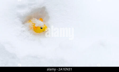 Object on the snow. Bright yellow rat in white snow. Copy space. Concept of new 2020 year. Chinese year of rat. Symbol of 2020 year. Graphic resources. Concept, background, idea. Animal of the year Stock Photo