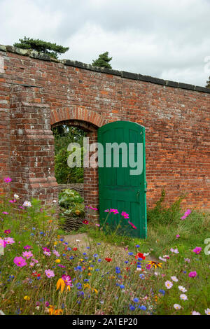 WILD FLOWER BORDER IN A WALLED GARDEN Stock Photo - Alamy