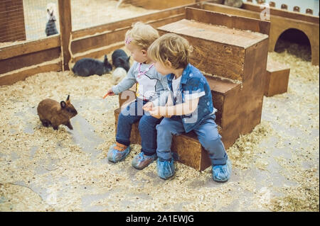 children play with the rabbits in the petting zoo. Stock Photo