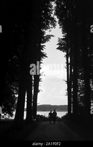 Ein Paar geht durch einen Waldweg an einen See, Deutschland 1939. Couple walking through a forest to a lake, Germany 1939. Stock Photo