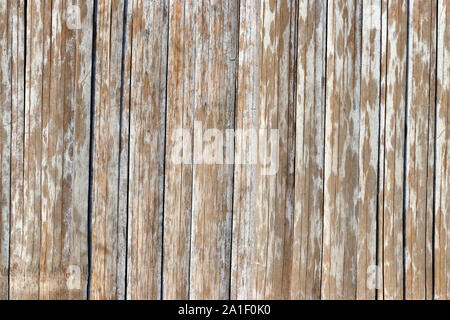 Closeup bamboo wood background Stock Photo