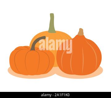 three different pumpkins isolated on white background vector illustration EPS10 Stock Vector