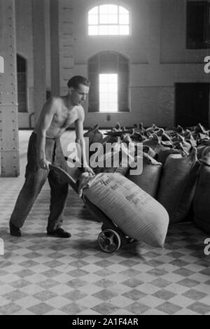 Arbeitsalltag in der Zuckerfabrik Zeitz, DDR, 1950er. Working life at the sugar refinery in Zeitz, GDR, 1950s. Stock Photo