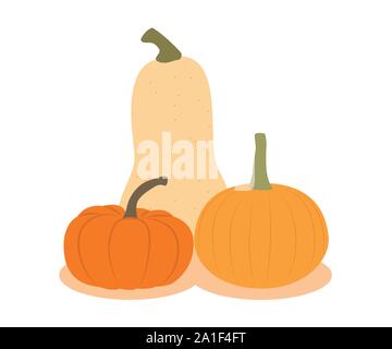 three different pumpkins isolated on white background vector illustration EPS10 Stock Vector