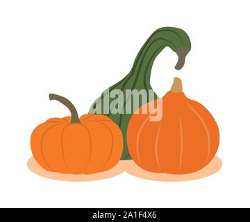 three different pumpkins isolated on white background vector illustration EPS10 Stock Vector