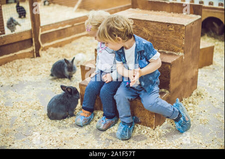 children play with the rabbits in the petting zoo. Stock Photo