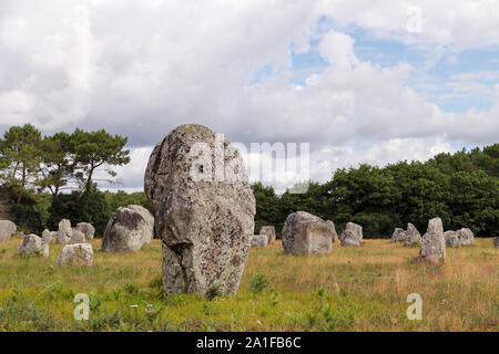 Menhirs of the Alignements of Kerlescan, rows of standing stones, the largest megalithic site in the world, Carnac, Brittany, France Stock Photo