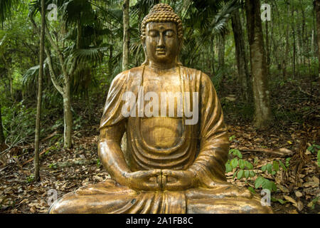 Buddha statue in the Atlantic Forest Stock Photo