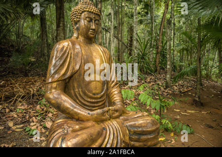 Buddha statue into the Atlantic Forest Stock Photo